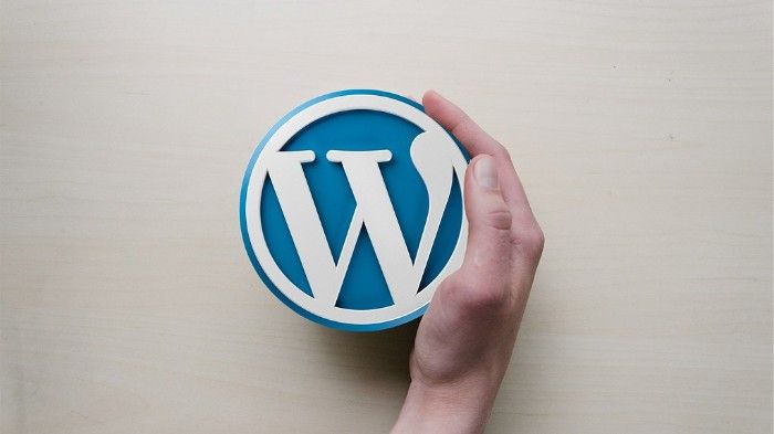 Hand holding the WordPress logo, a white 