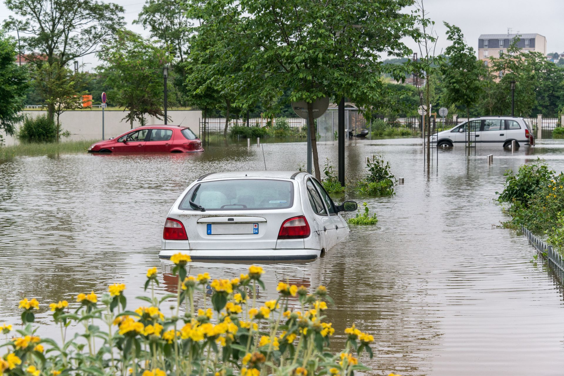Flooded Car — Hudson, FL — Florian Insurance, Inc.