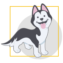 Happy black-and-white husky standing with tongue out inside a yellow square border
