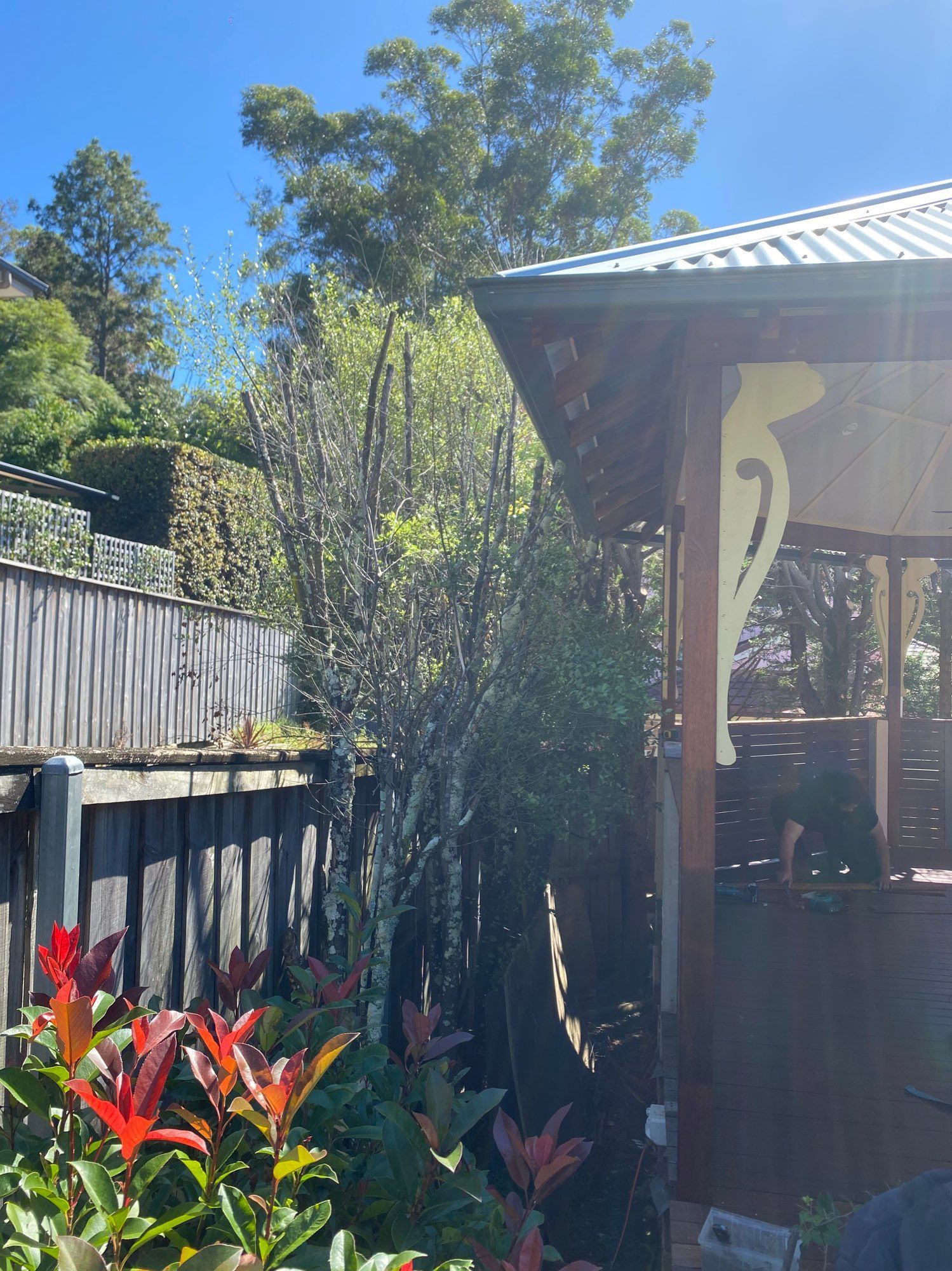 Backyard Patio With a Wooden Fence — Lakecrest Projects in Lake Macquarie, NSW