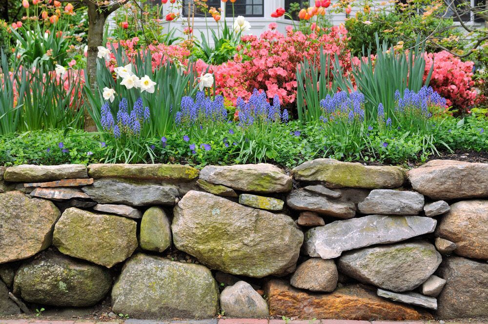 A Stone Wall Surrounded by Flowers in a Garden With a House in the Background — Lakecrest Projects in Belmont North, NSW