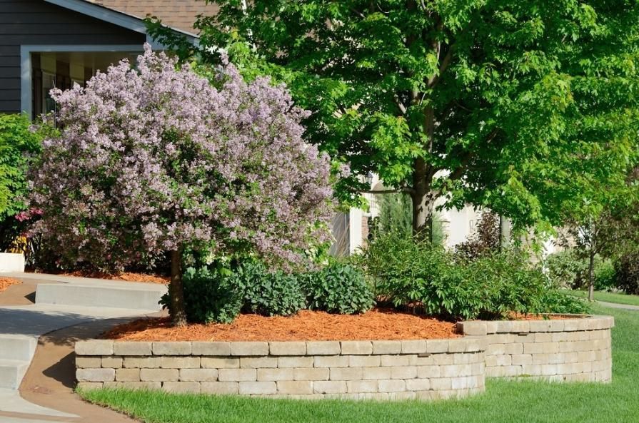 A Brick Wall With a Tree in the Middle of It — Lakecrest Projects in Hunter Valley, NSW