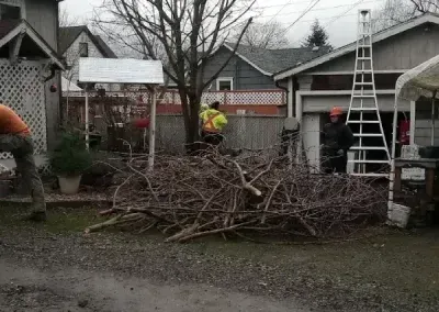 Workers clearing a large pile of tree branches in a residential driveway