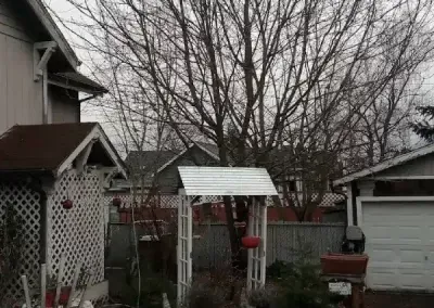 Backyard with leafless trees, small shed, fence, and a garage under an overcast sky