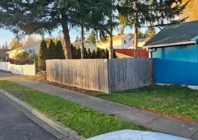 Residential street with a wooden fence, blue gate, sidewalk, and trees along a quiet corner lot.