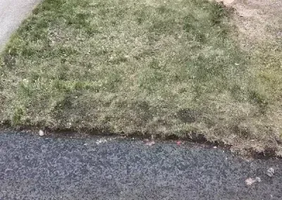 Patchy grass lawn bordered by dark asphalt and a dirt path in the corner.