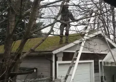 White ladder leaning on garage roof beside trees in a residential yard
