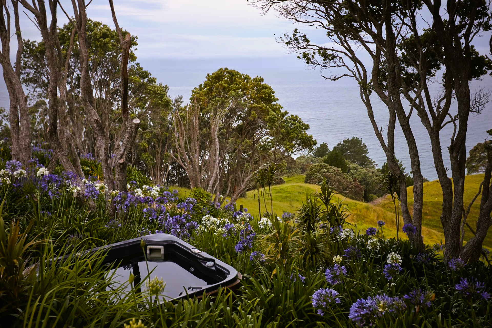 Hot tub overlooking a coastal view, framed by trees, wildflowers in foreground.