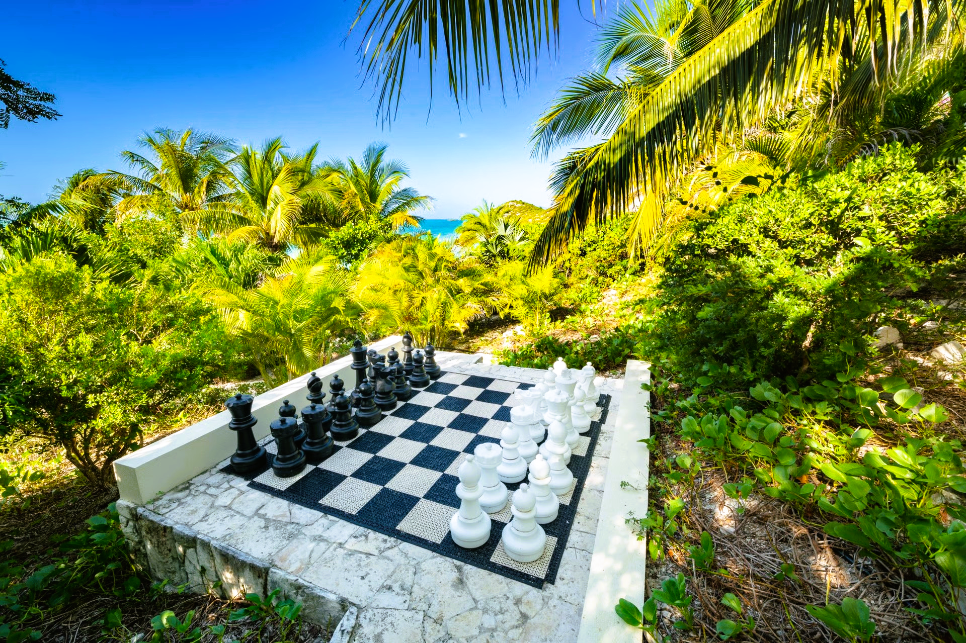 Chessboard with large black and white pieces, set amidst lush green foliage, with a view of the ocean.