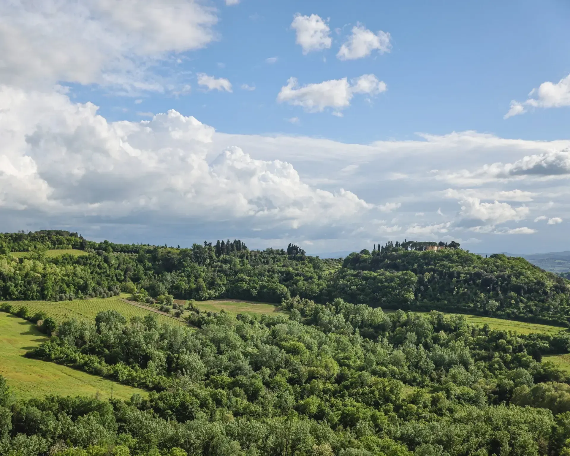 Rolling green hills and forest under a cloudy blue sky.