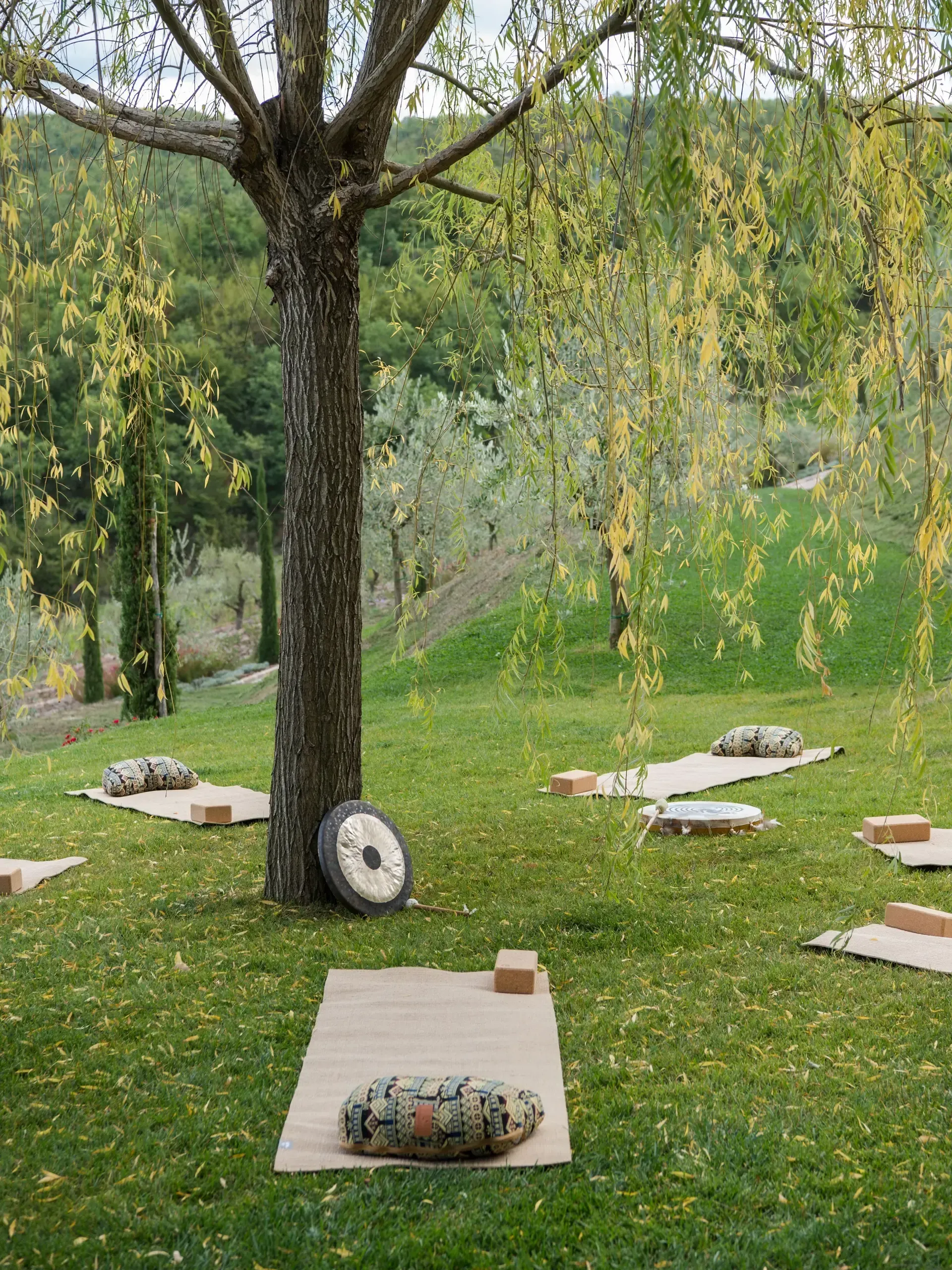 Yoga mats and props arranged under a tree in a grassy outdoor setting.