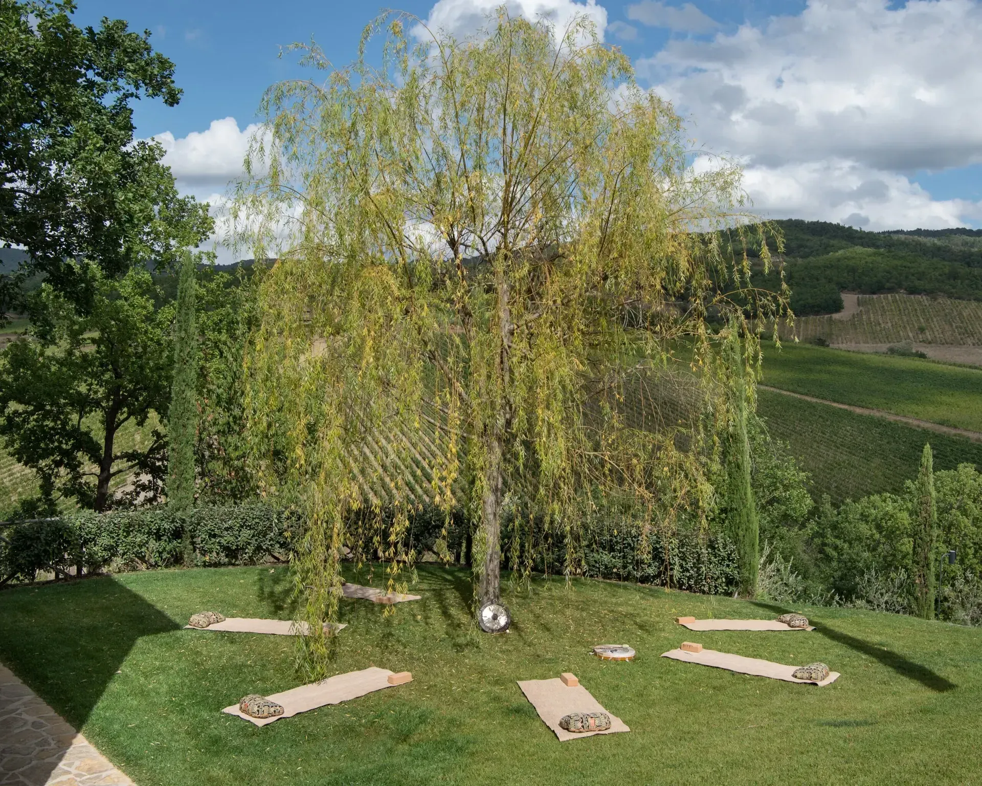 Yoga mats arranged around a willow tree on a grassy hill overlooking a vineyard.