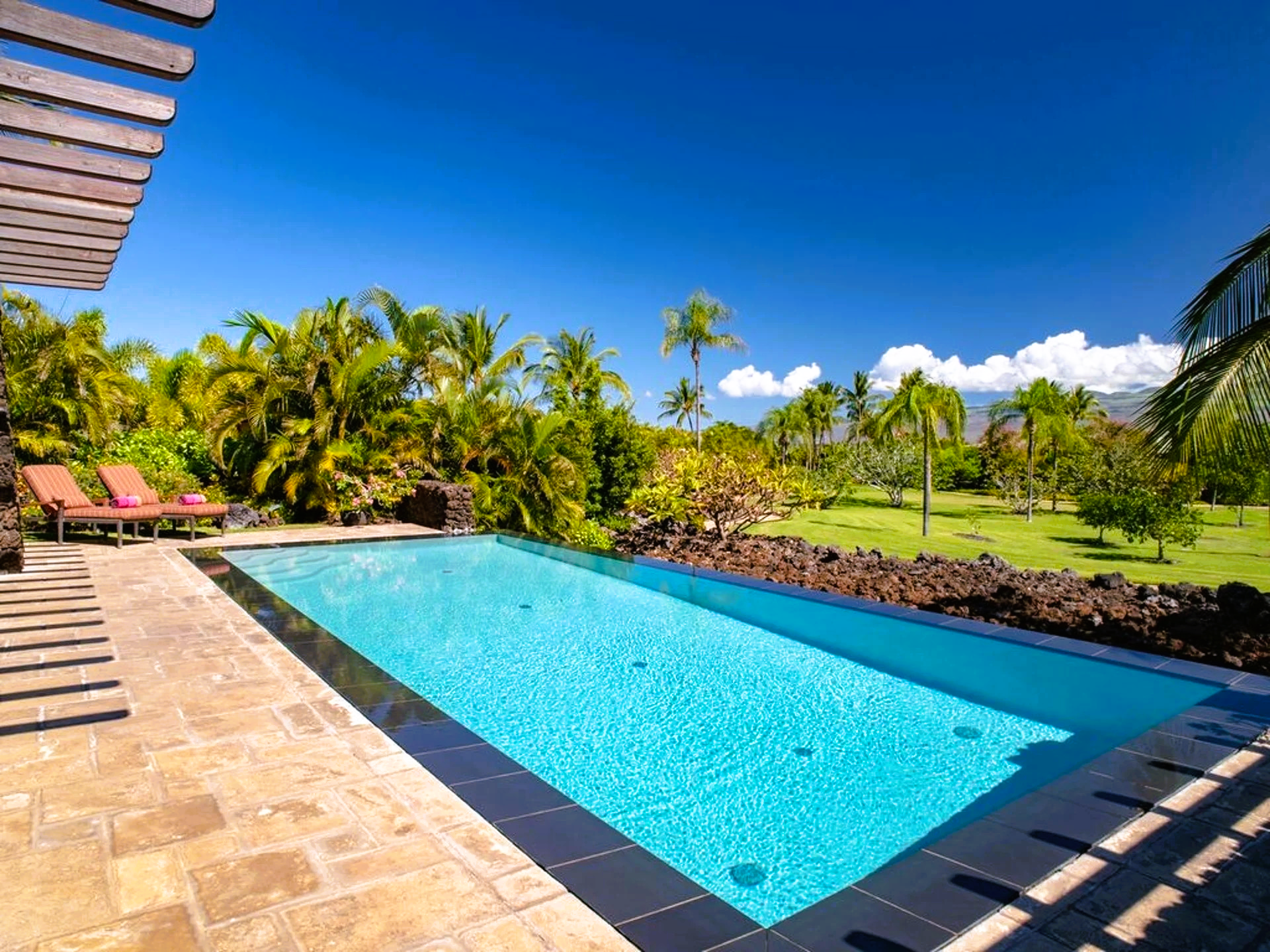 A rectangular swimming pool with blue water, surrounded by tropical landscaping and a clear blue sky.