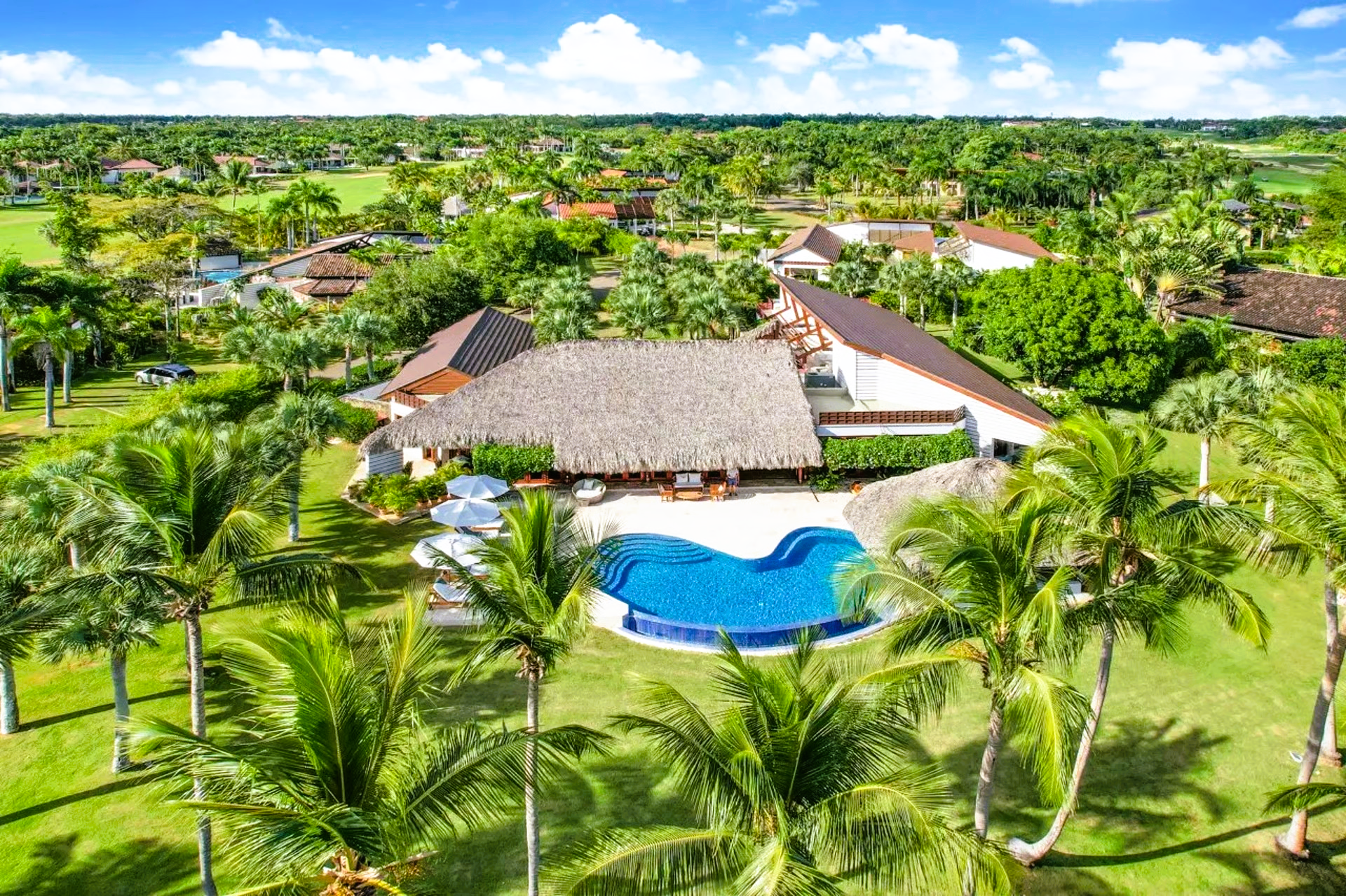 Tropical house with thatched roof, pool, and lush greenery in a sunny, outdoor setting.