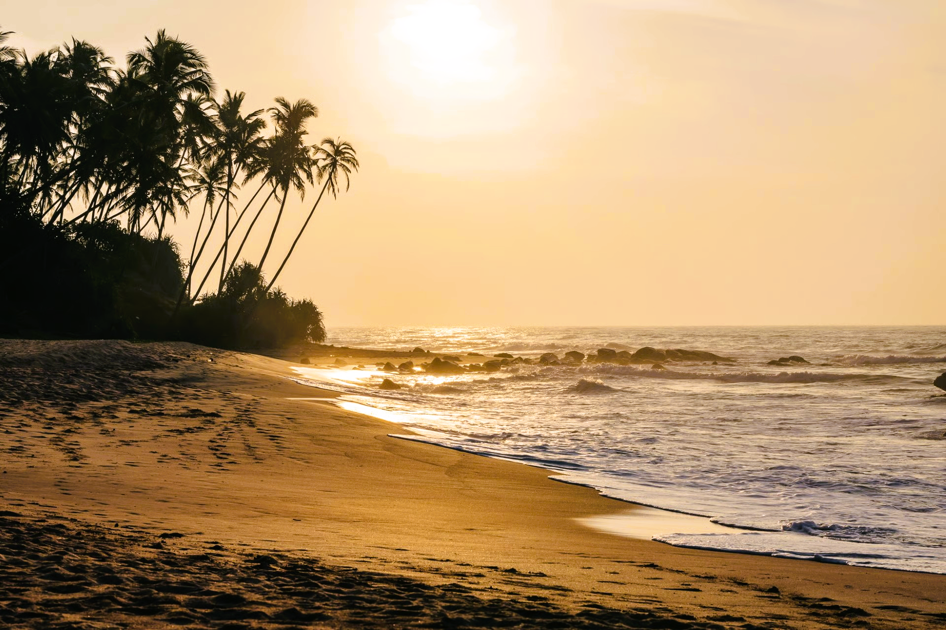 Sunset over a beach with palm trees silhouetted on the left; sun reflecting on the ocean waves.