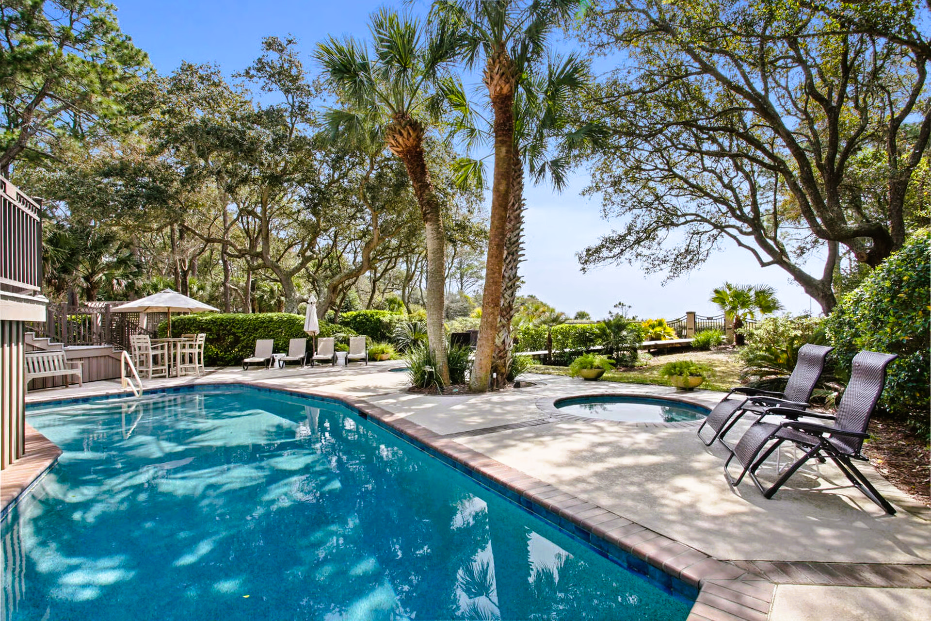 Pool and jacuzzi surrounded by trees, lounge chairs, and palm trees.