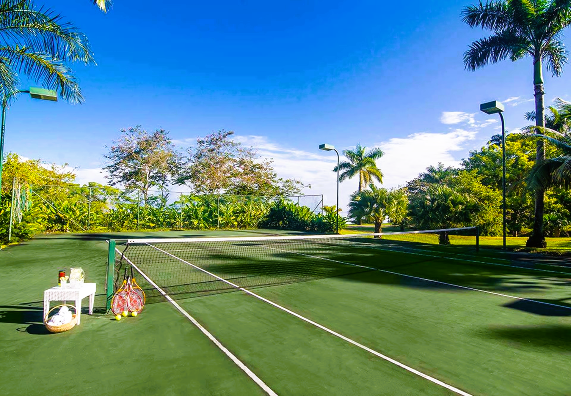 Green tennis court with net and balls, surrounded by trees and blue sky.