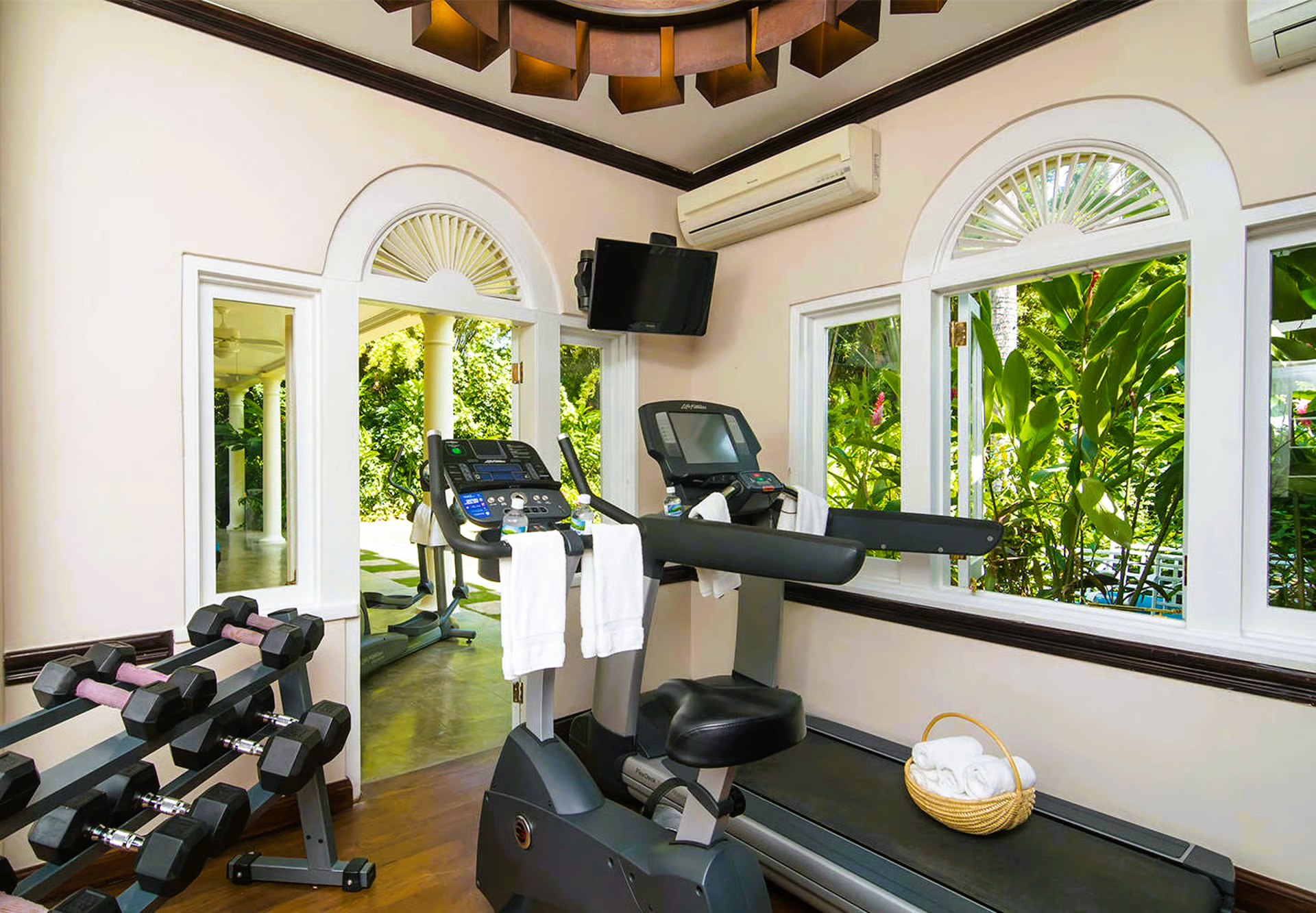 Gym with treadmills, weights, and a TV; arched windows overlook lush greenery.