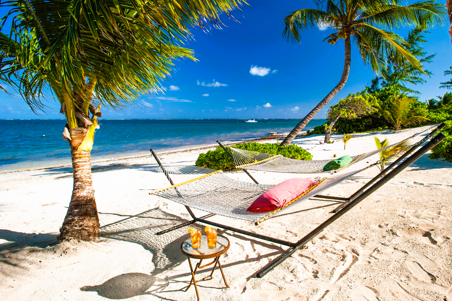 Beach scene: hammock with cushions, two cocktails, palm trees, white sand, turquoise water, sunny day.
