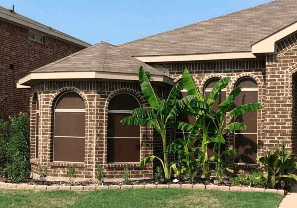 Brick house with banana trees