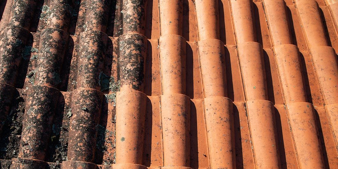 A Close Up of a Roof With a Dirty Roof and a Clean Roof — East Coast Roof Tiling Services in Kuluin, QLD