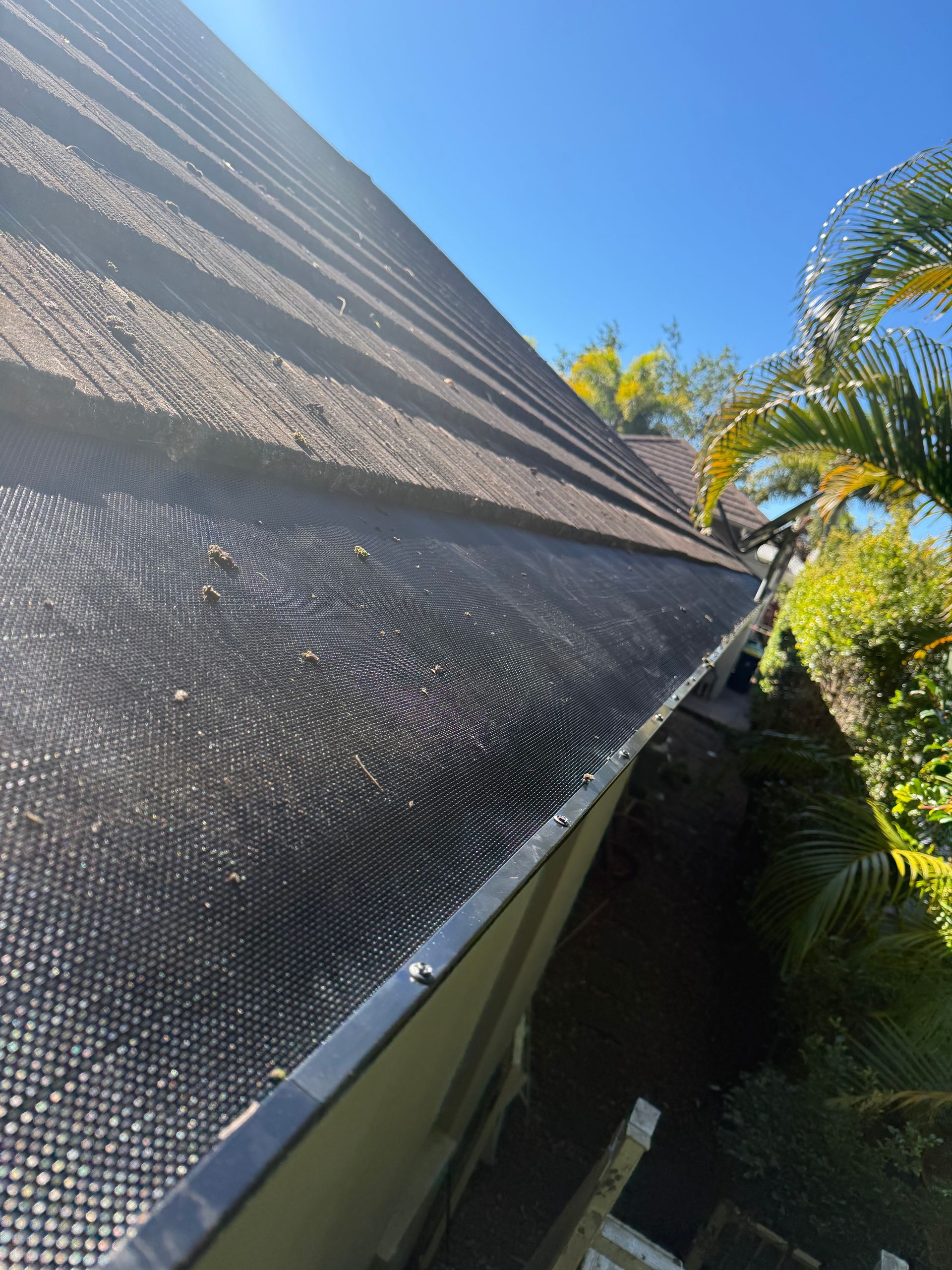 A Close Up of a Roof With a Dirty Roof and a Clean Roof — East Coast Roof Tiling Services in Coolum, QLD