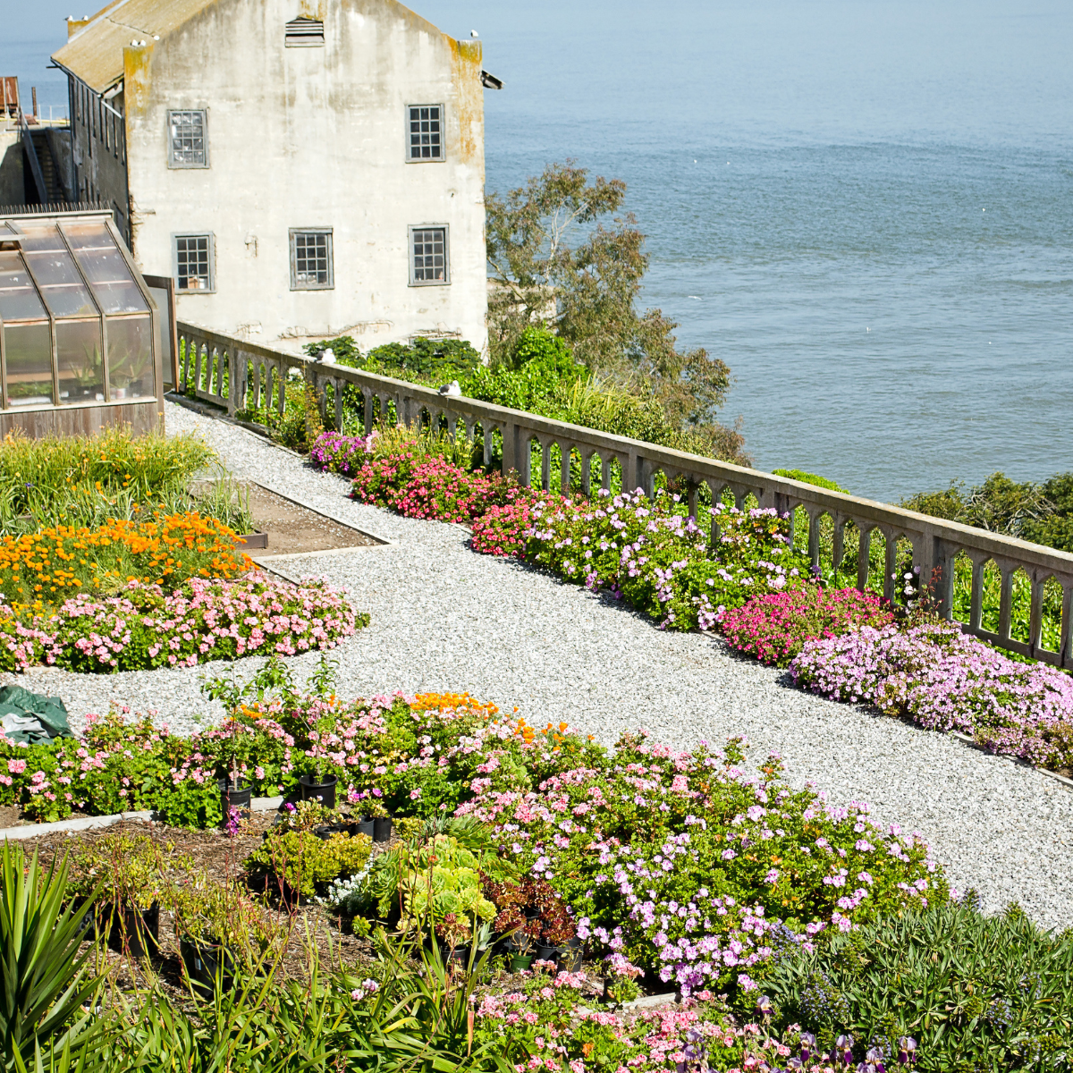 Alcatraz building by ocean