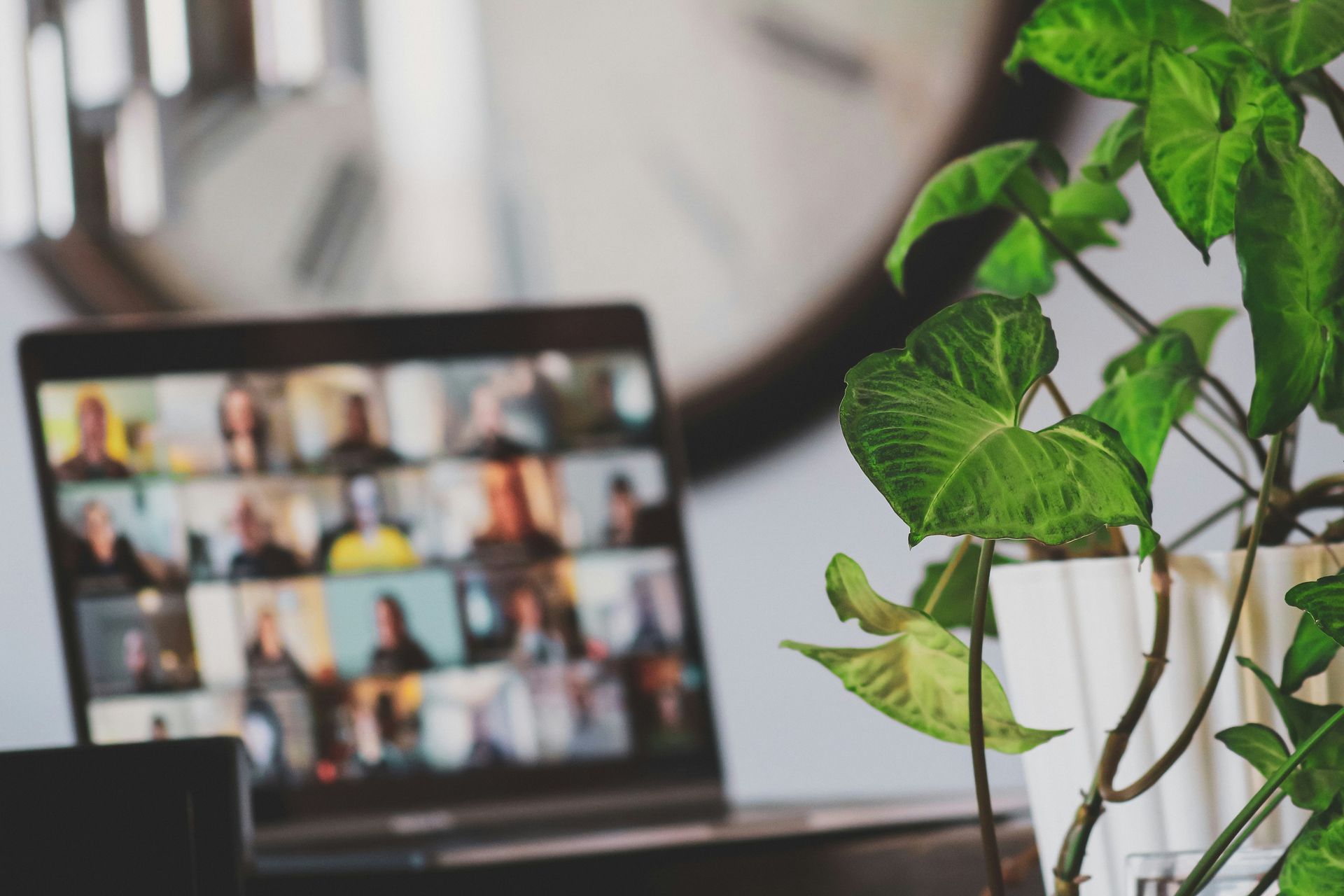 remote meeting on laptop