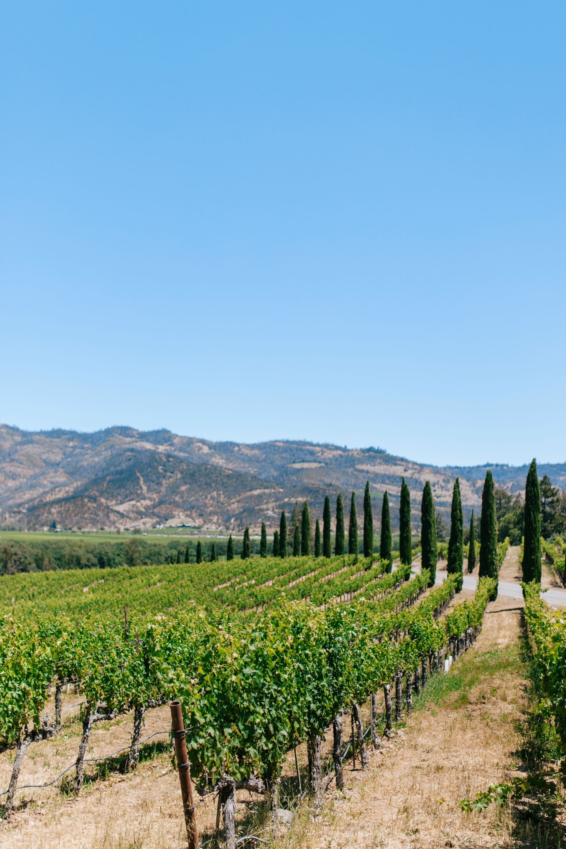 Napa