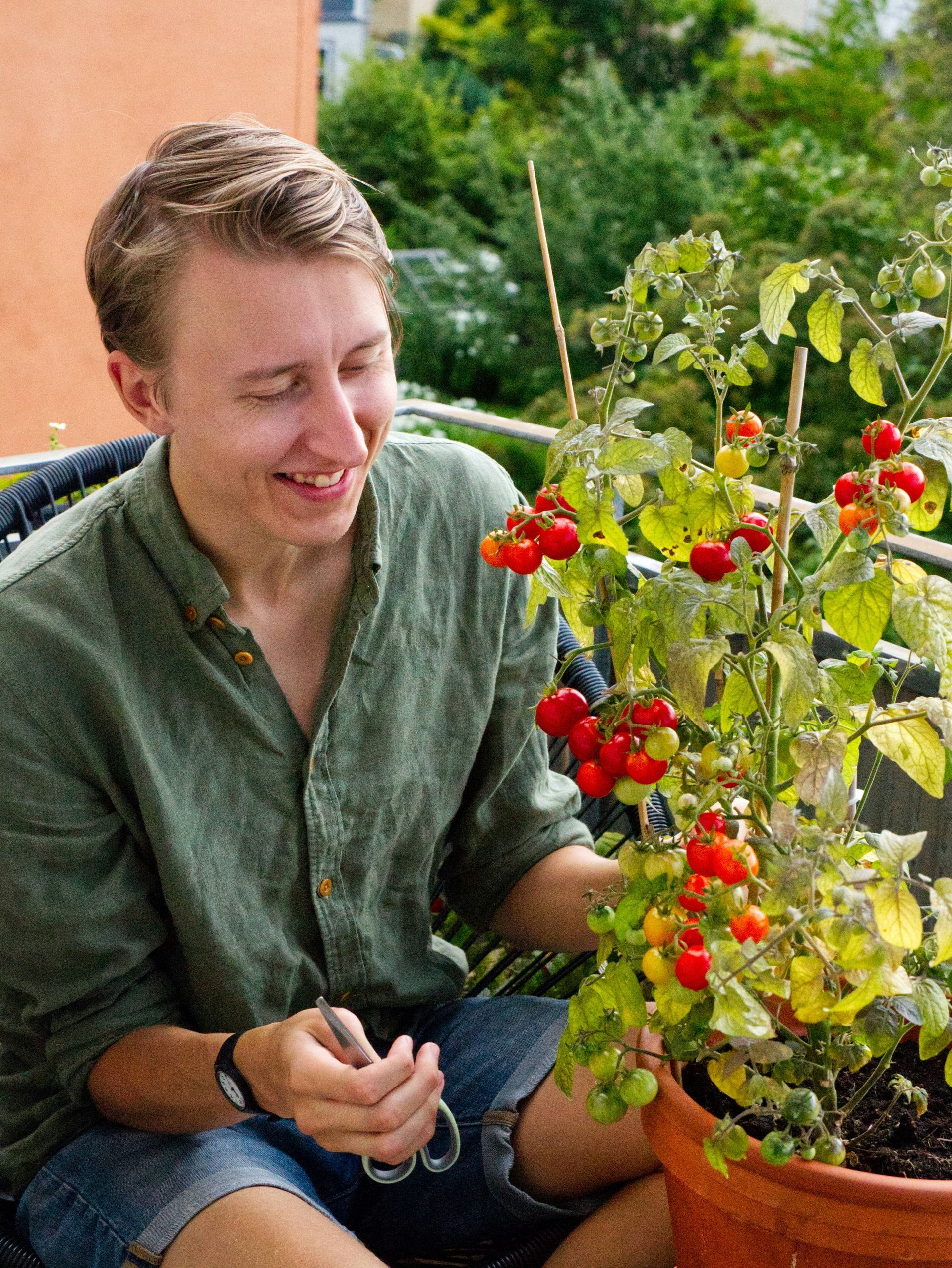 person and vegetable plant