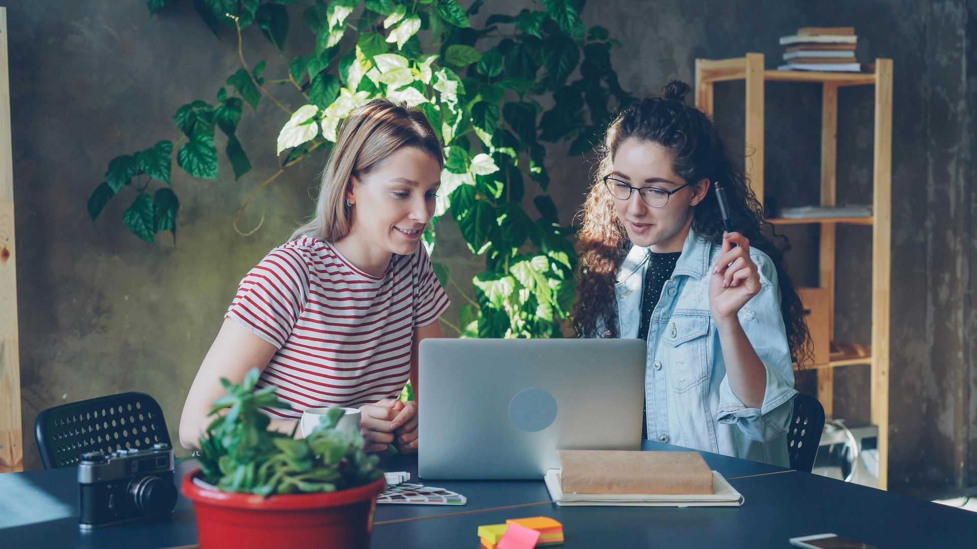 people, computer,and plants