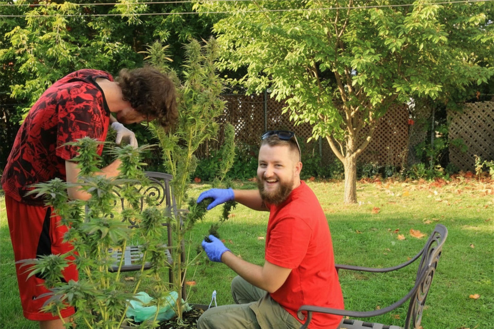students with plants