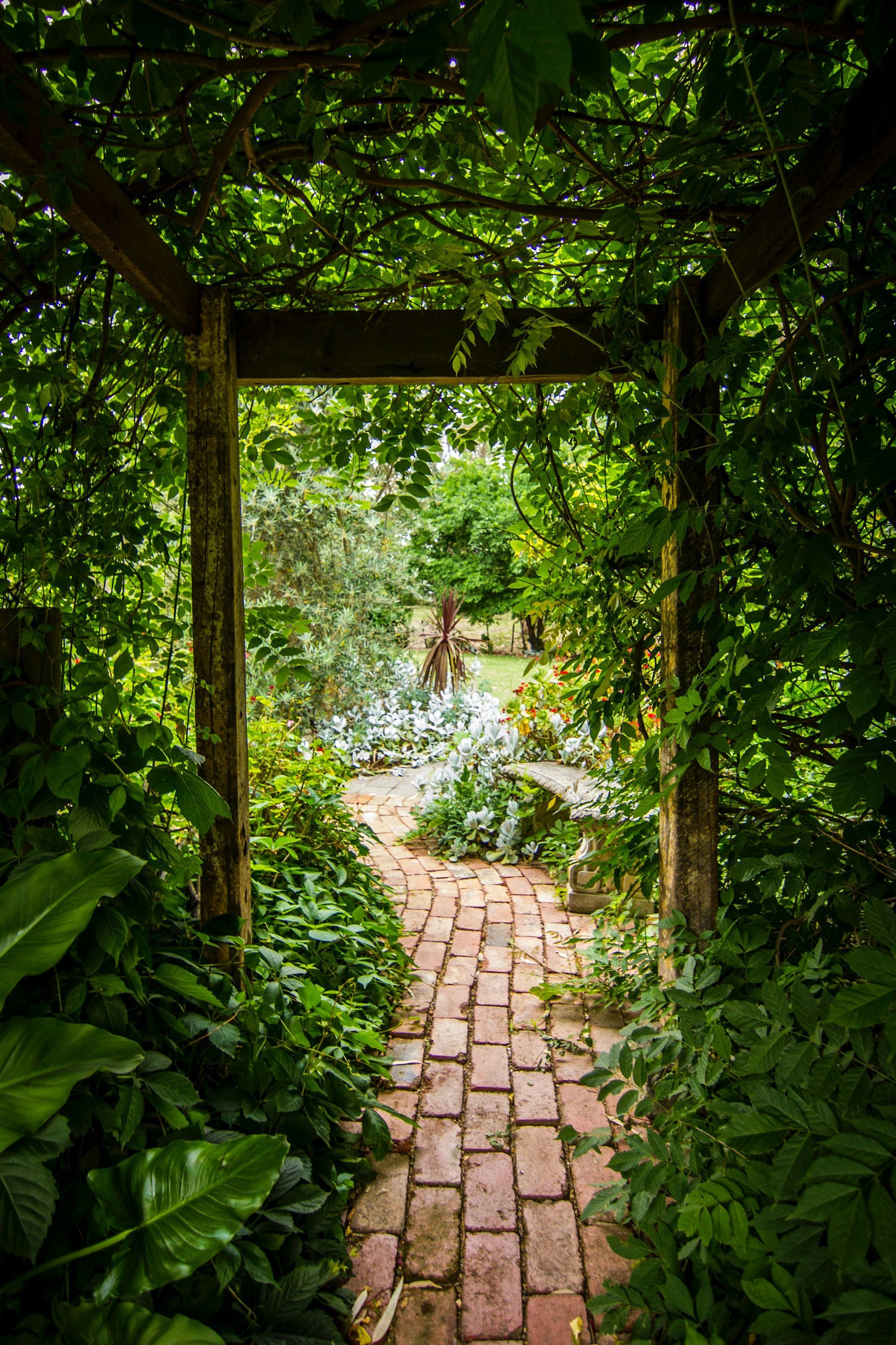 walk way