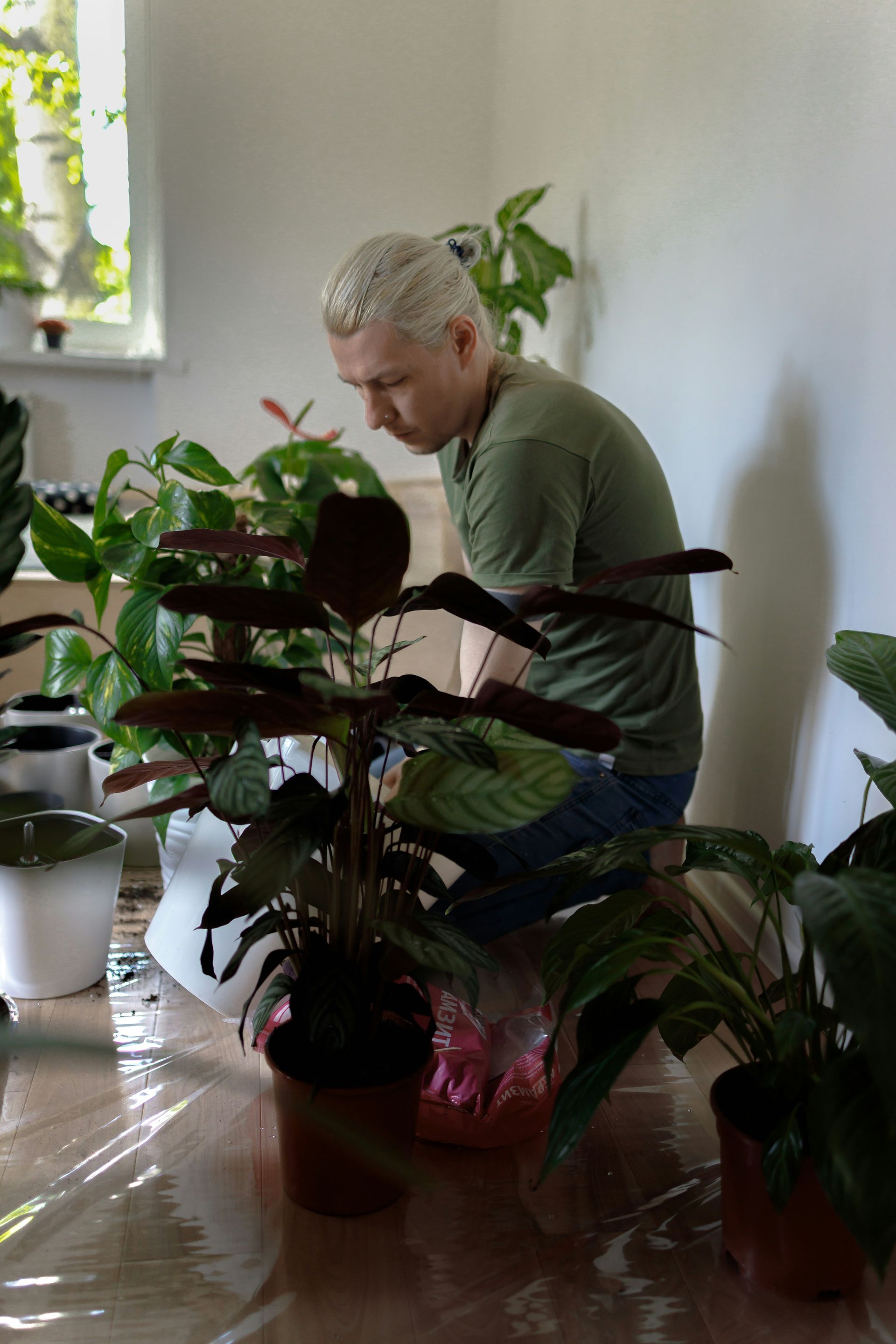 male and plants