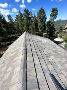 Asphalt shingle roof with varied colors, near trees on a sunny day.