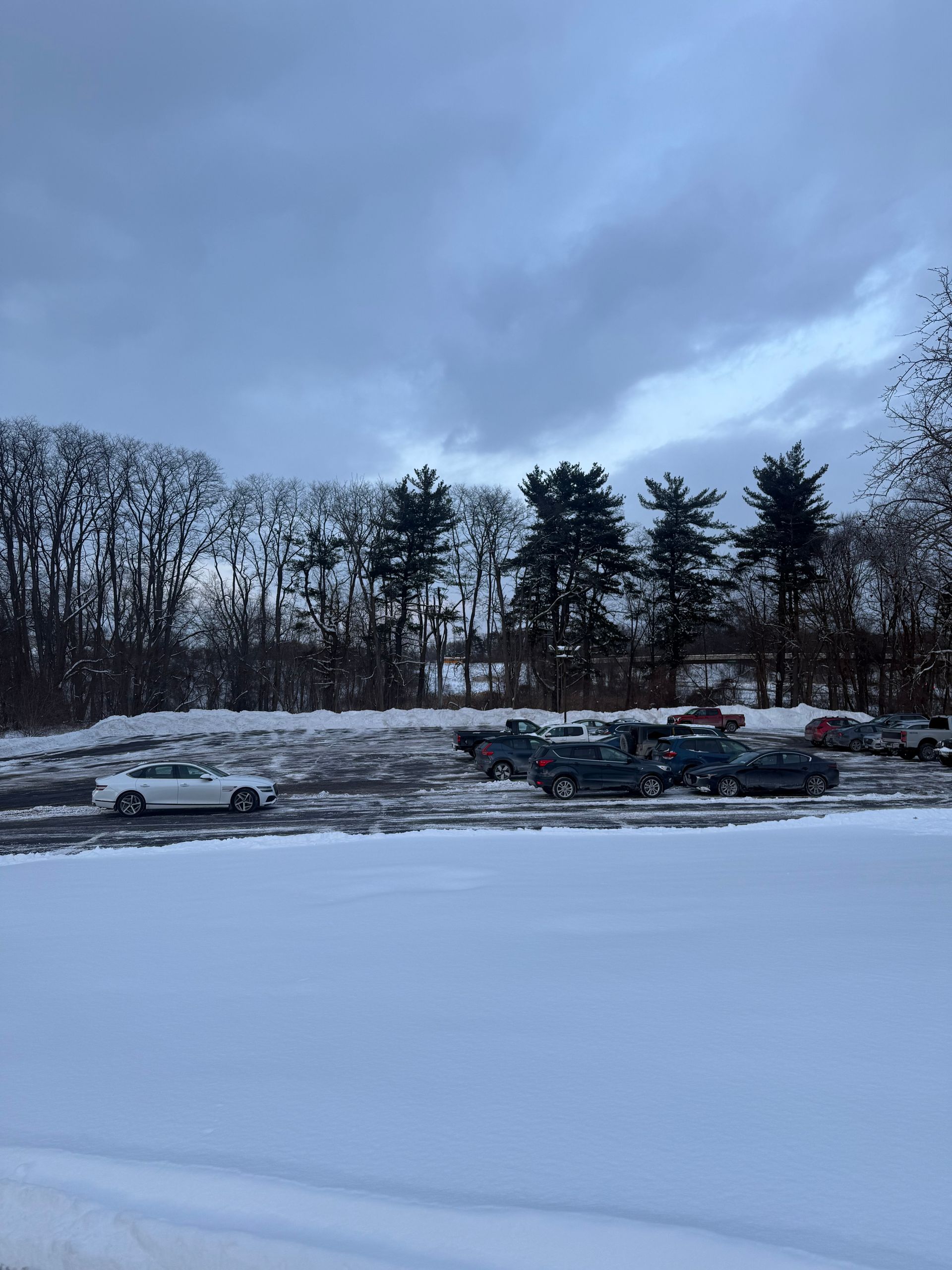 Snow-covered field with parked cars by a tree line under a cloudy winter sky