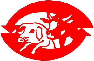 Logo rosso di un toro in carica all'interno di un ovale con sfondo bianco.