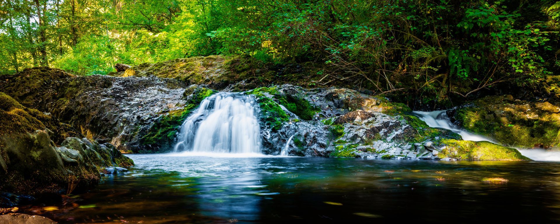 A small waterfall in the middle of a forest surrounded by trees.
