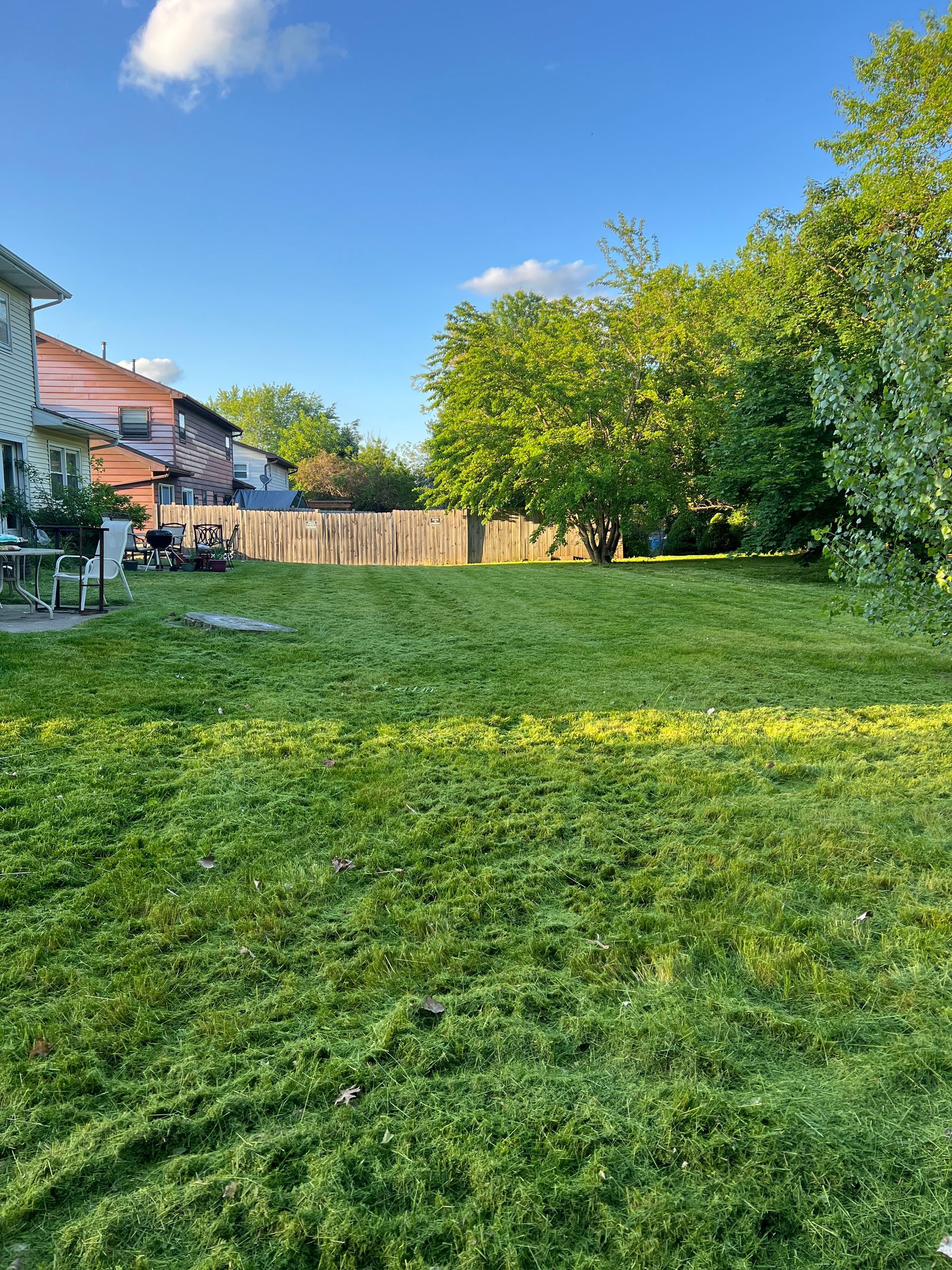 A large lush green field with trees and a house in the background.