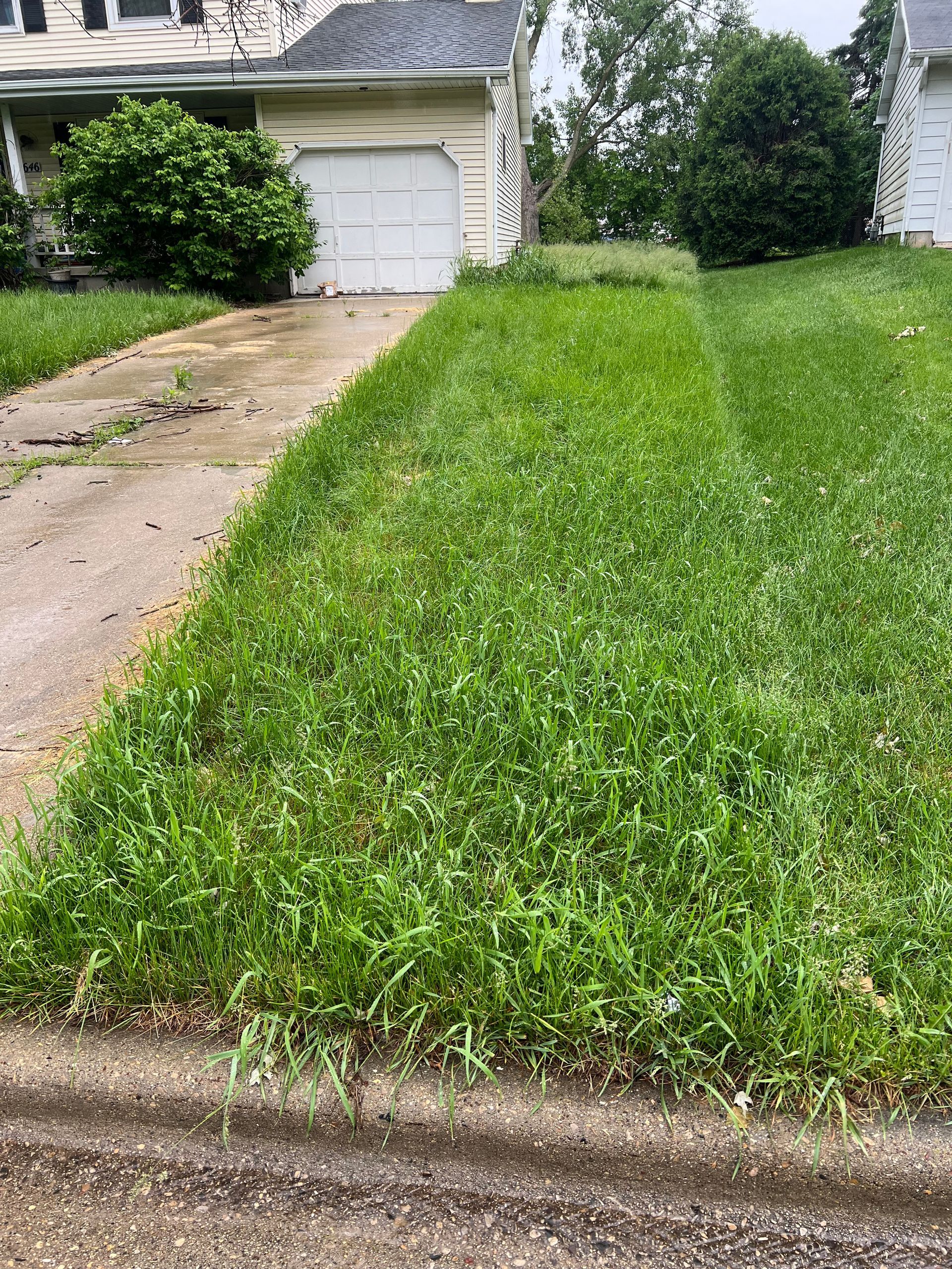 A lush green lawn is growing in front of a house.