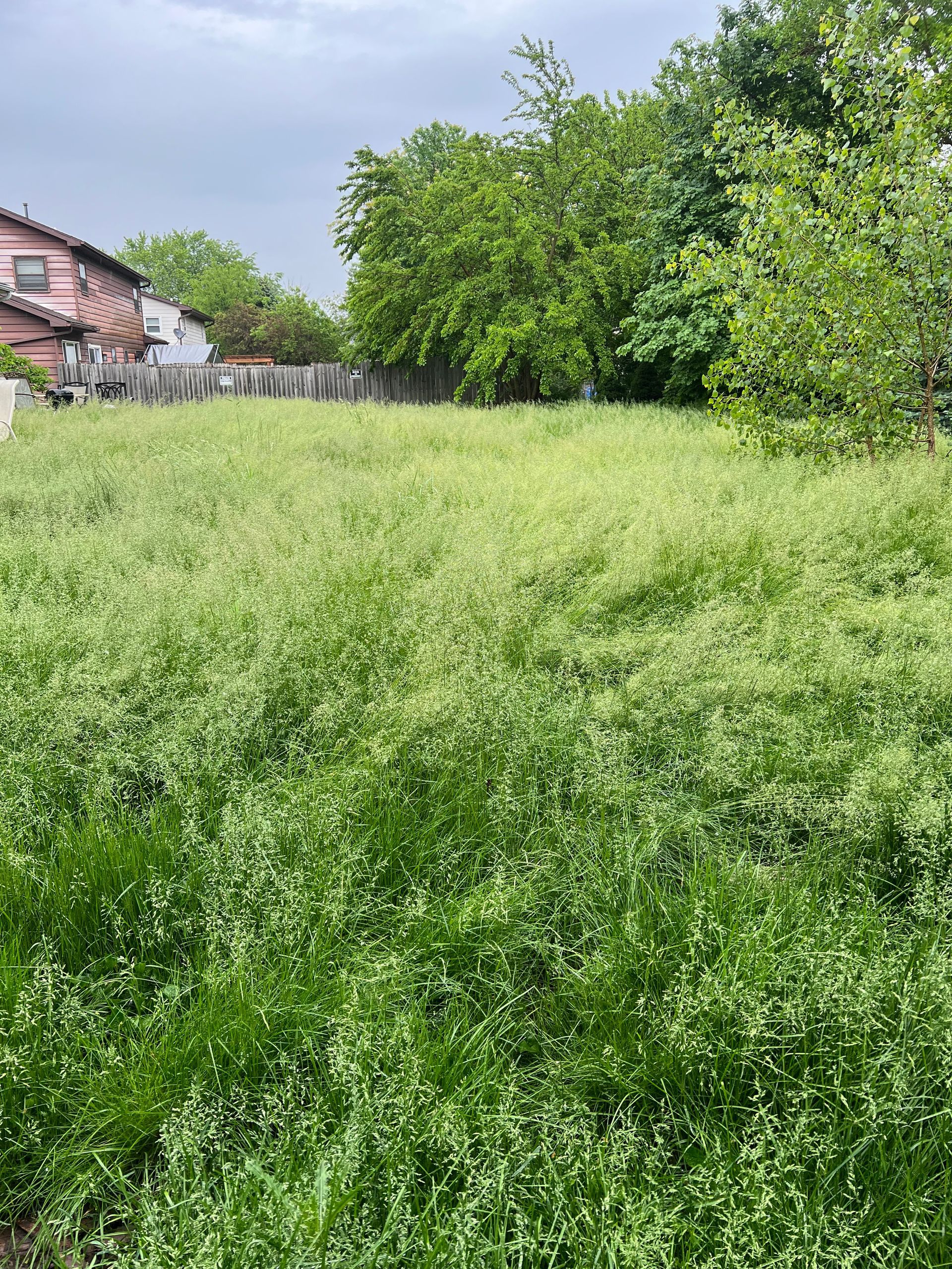 A large green field with trees in the background and a house in the background.