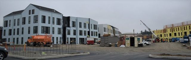 A lot of buildings are being built in a city.