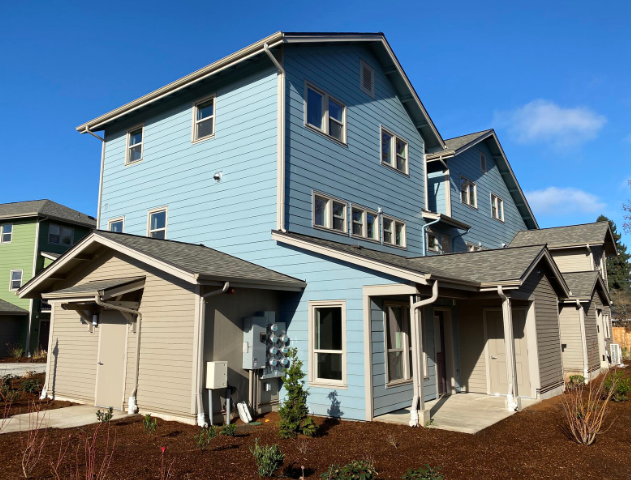 A blue house with a gray roof is surrounded by other houses
