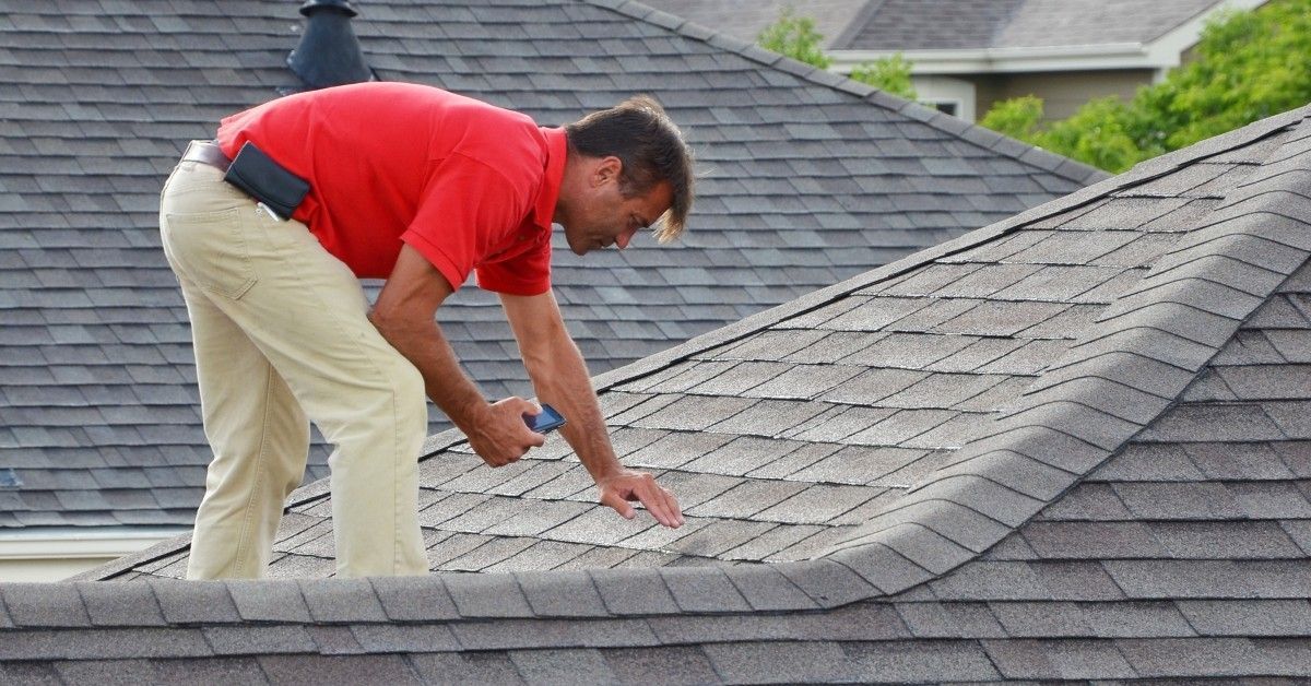 Seipp Roofing professional inspecting an asphalt shingle roof for damage, wear, leaks, and maintenance concerns.