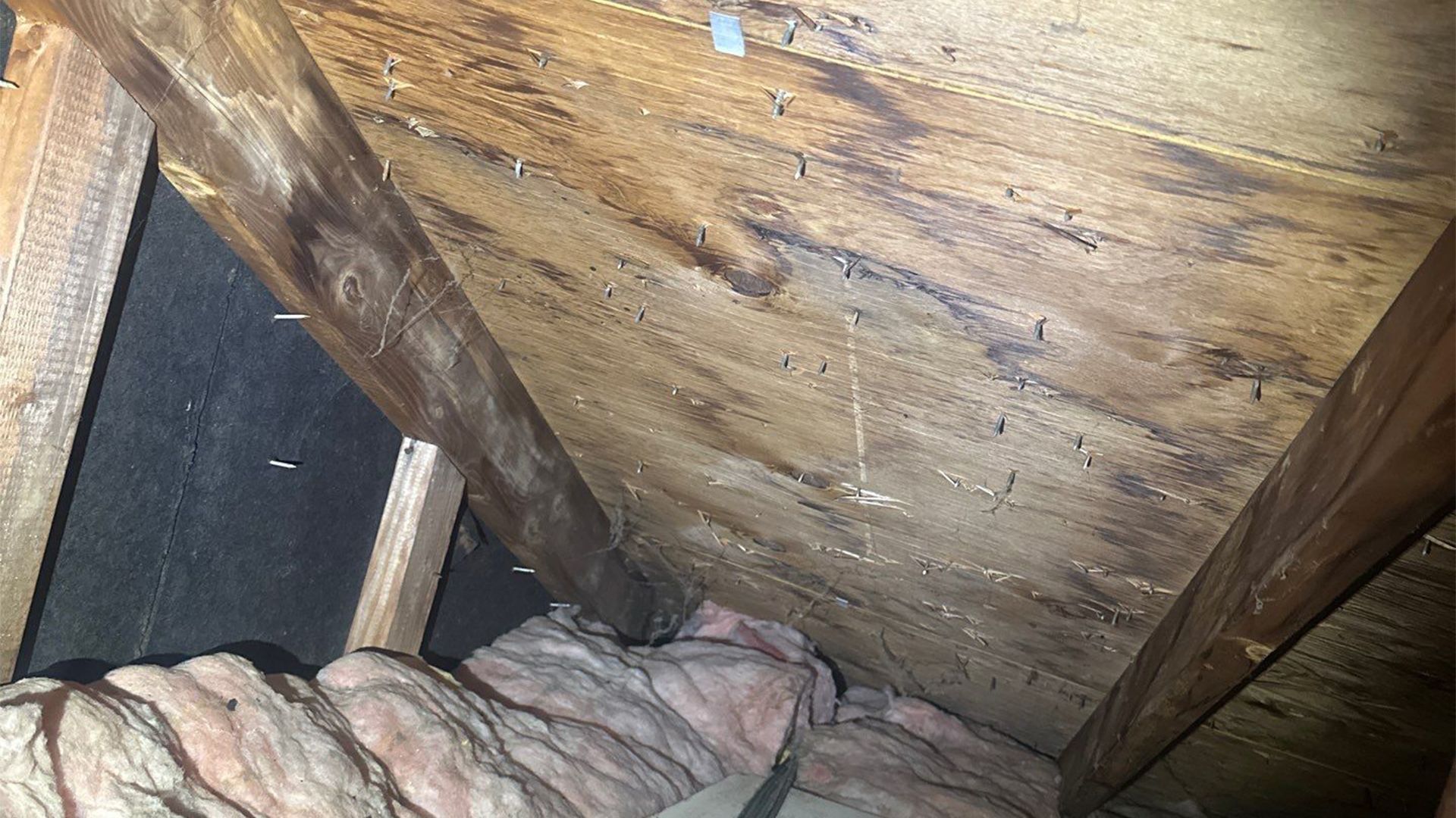 Exterior roof penetrations often appear minor, but attic inspections reveal whether moisture has reached the roof decking beneath the surface. Attic roof decking inspection showing fastener penetration points and wood condition beneath the roof surface during a professional roof inspection.