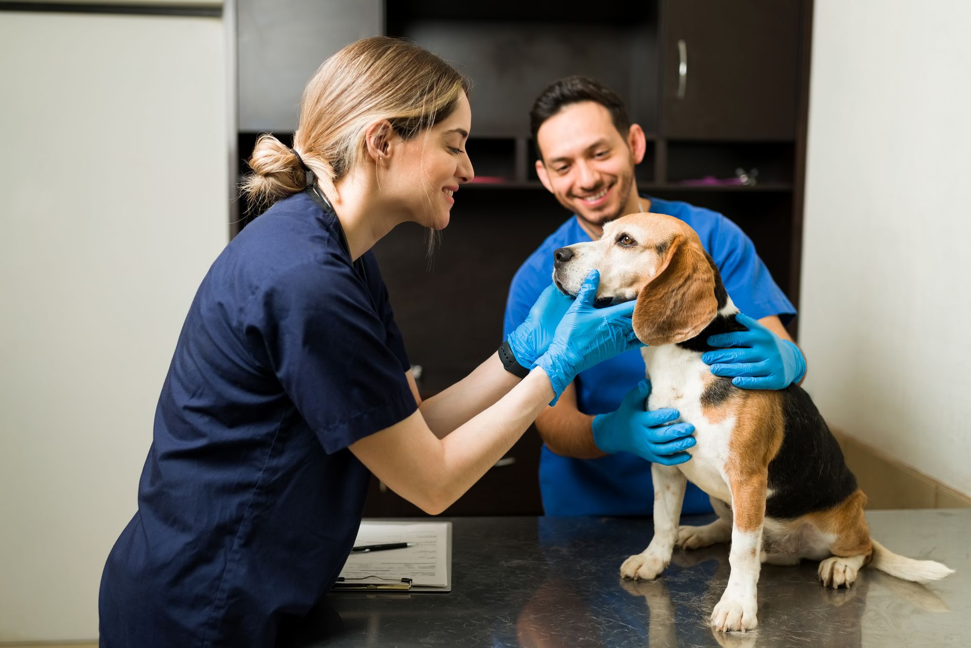 Our Vet Partners | Adoring Pet Funeral Home & Cremation Services