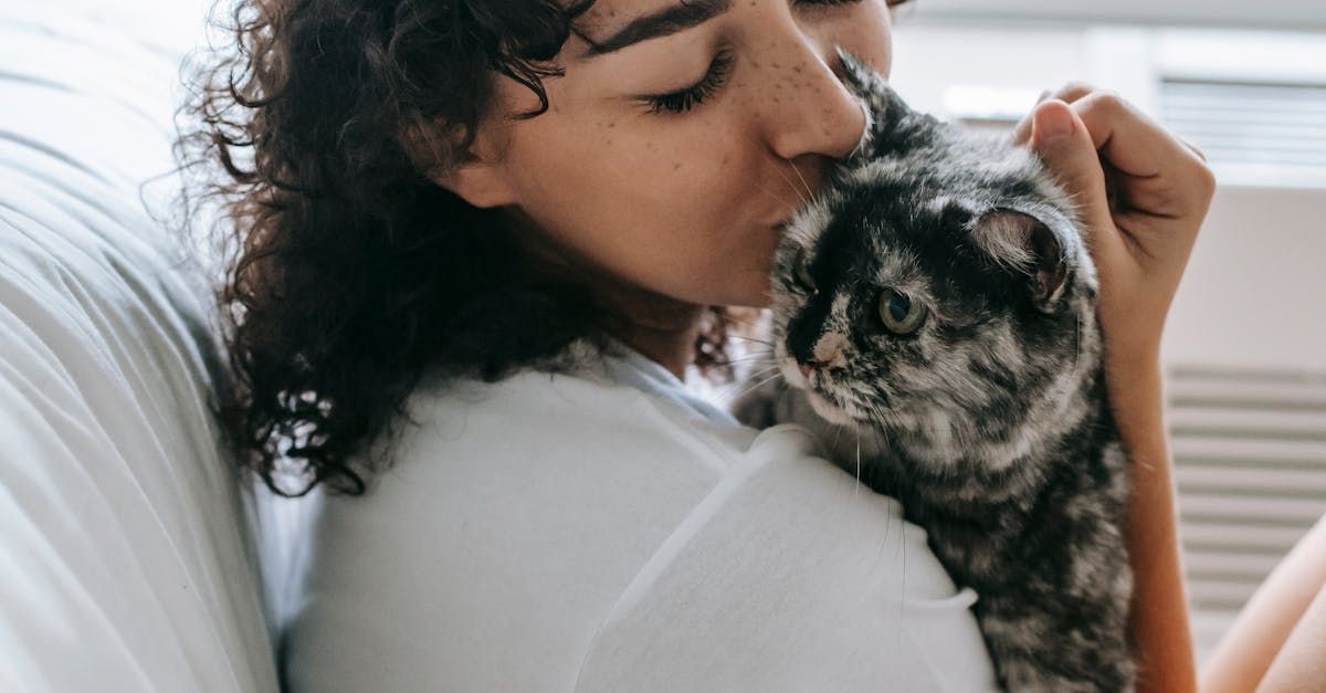 Pet Loss Help | Adoring Pet Funeral Home & Cremation Services