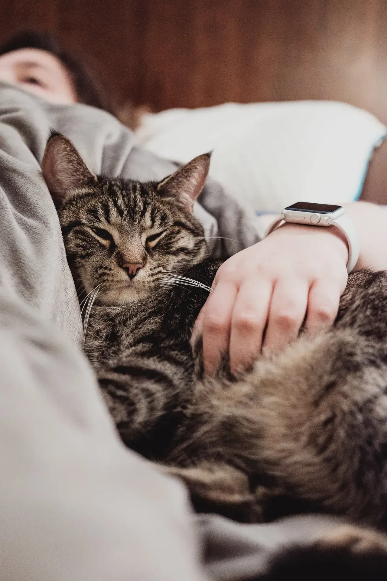 Resources Center | Adoring Pet Funeral Home & Cremation Services