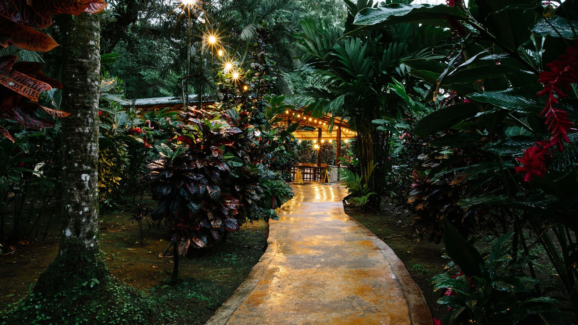 Sendero selvático iluminado por luces cálidas que conduce a un edificio resplandeciente por la noche.