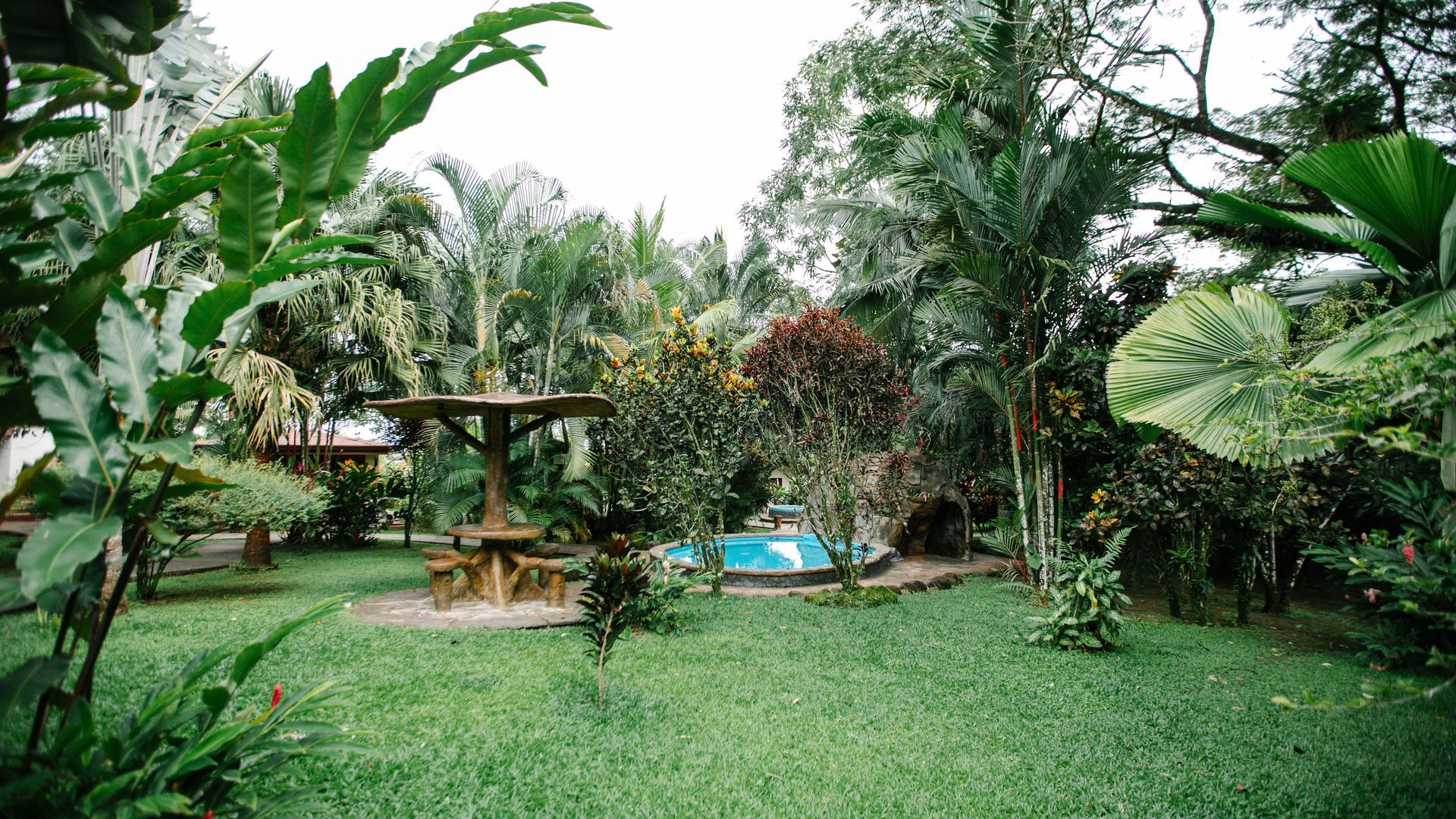 Jardín tropical exuberante con pérgola de madera, césped verde y una pequeña piscina azul entre densos árboles.